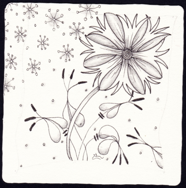 Die 2334. Daily New Challenge