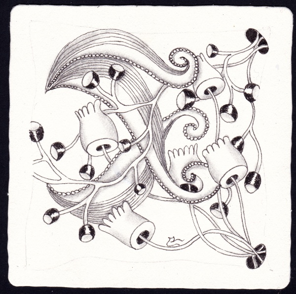 Die 2368. Daily New Challenge