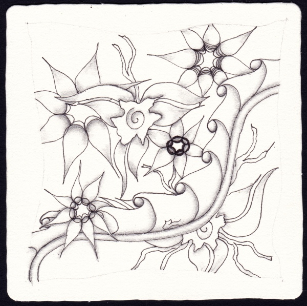 Die 2370. Daily New Challenge