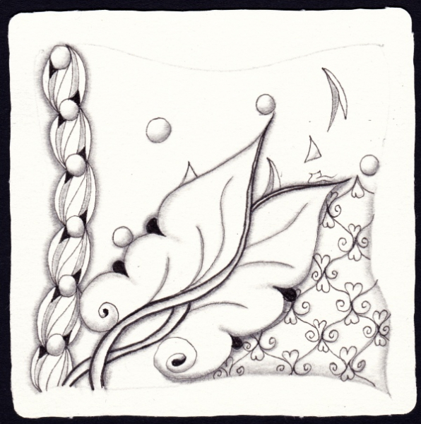 Die 2396. Daily New Challenge