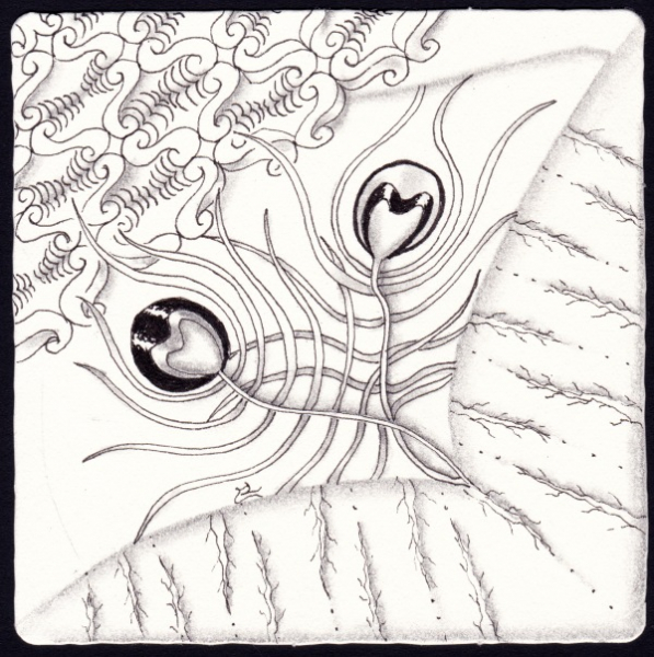 Die 2406. Daily New Challenge