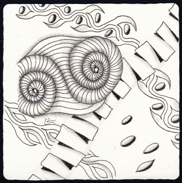 Die 2416. Daily New Challenge