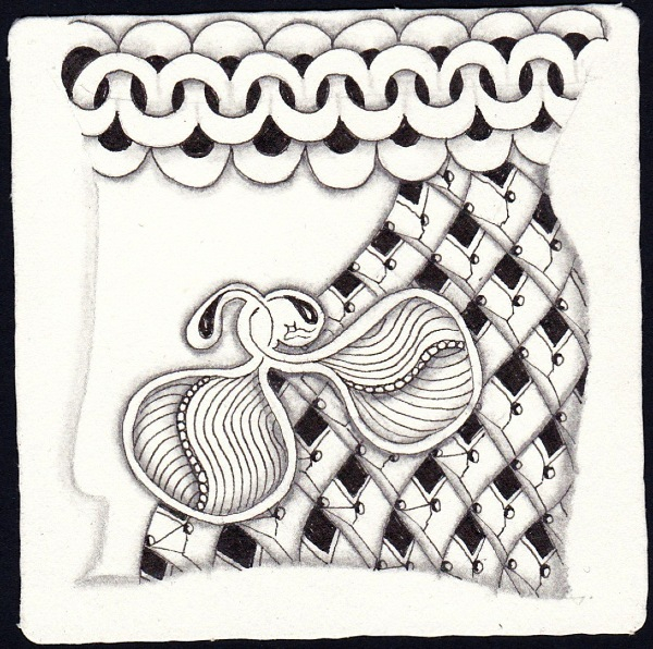 Die 2428. Daily New Challenge
