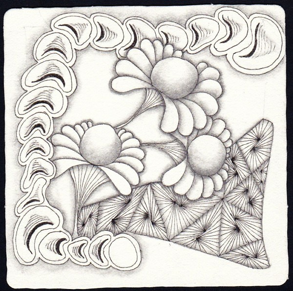 Die 2438. Daily New Challenge