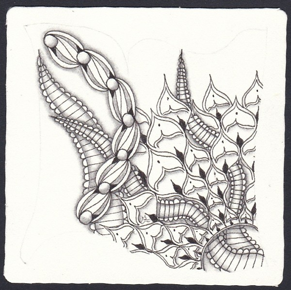 Die 2447. Daily New Challenge