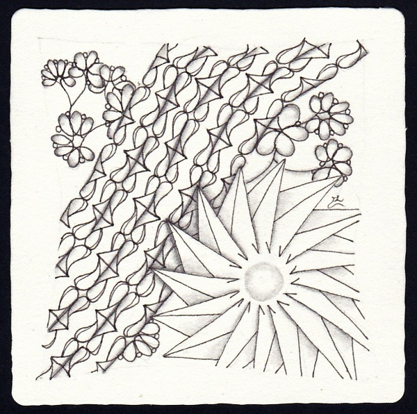 Die 2506. Daily New Challenge