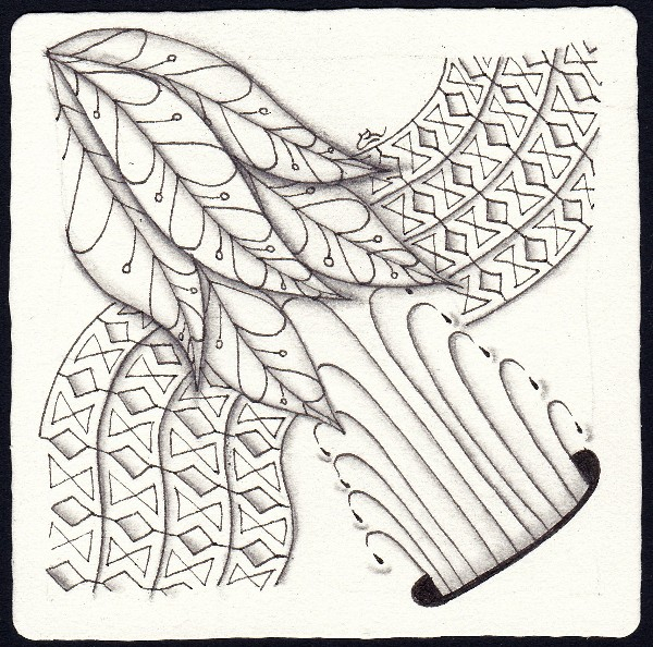 Die 2541. Daily New Challenge