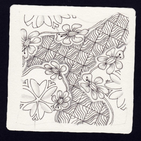 Die 2545. Daily New Challenge